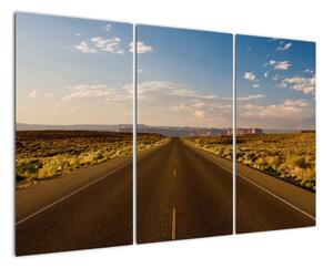 Panorama cesty - obraz (120x80cm)
