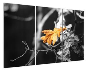 Obraz - přicházející podzim (120x80cm)