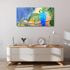 Obraz na plátně Obraz na plátně Opustí zvířecí parrot