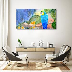 Obraz na plátně Obraz na plátně Opustí zvířecí parrot