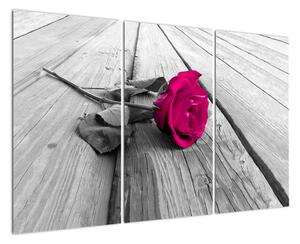 Obrazy květin - růže (120x80cm)