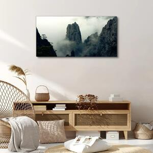 Obraz na plátně Obraz na plátně Mountain fog mlhou strom mraky