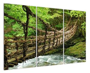 Obraz - most v přírodě (120x80cm)
