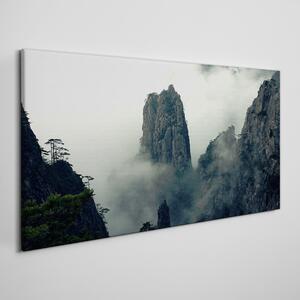 Obraz na plátně Obraz na plátně Mountain fog mlhou strom mraky