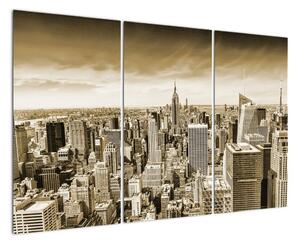 Panorama New York, obraz (120x80cm)