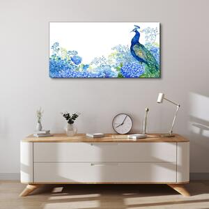 Obraz na plátně Obraz na plátně Květiny pták Peacock