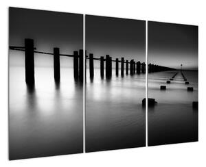 Černobílé moře - obraz (120x80cm)