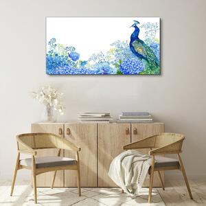 Obraz na plátně Obraz na plátně Květiny pták Peacock