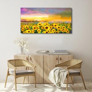 Obraz na plátně Obraz na plátně Západ slunce žluté květy