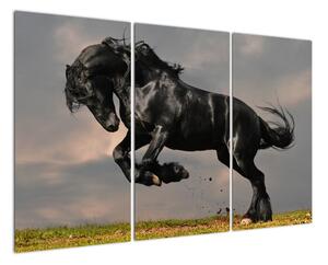 Černý kůň, obraz (120x80cm)