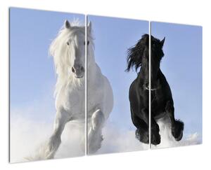 Koně, obraz (120x80cm)
