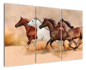 Obraz kůň (120x80cm)