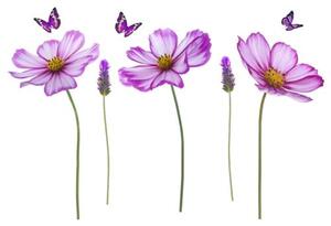 Samolepky na zeď DS 410-12, rozměr 95 cm x 142 cm, květy fialové, IMPOL TRADE