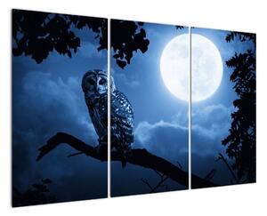Noční příroda, obrazy (120x80cm)