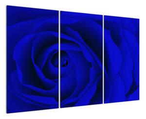 Detail modré růže - obraz (120x80cm)
