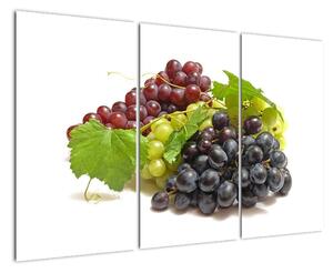 Hroznové víno - obrazy (120x80cm)