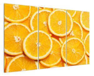 Plátky pomerančů - obraz (120x80cm)