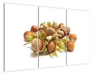 Lískové ořechy - obrazy (120x80cm)
