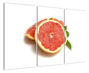 Grapefruit - obraz (120x80cm)