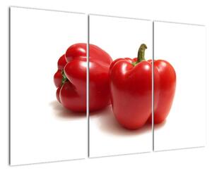 Paprika červená, obraz (120x80cm)