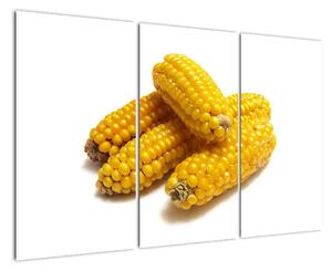 Kukuřice, obraz (120x80cm)