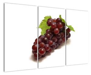 Hroznové víno, obraz (120x80cm)