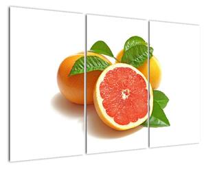 Grapefruit, obraz (120x80cm)