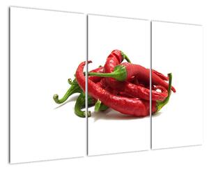 Chilli papričky, obrazy (120x80cm)