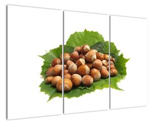 Lískové ořechy, obraz (120x80cm)