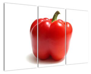 Paprika červená, obraz (120x80cm)