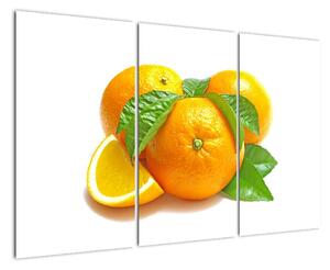 Pomeranče, obraz (120x80cm)