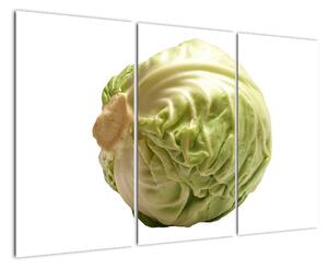 Hlávkové zelí, obraz (120x80cm)