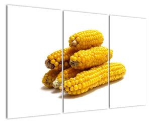 Kukuřice, obraz (120x80cm)