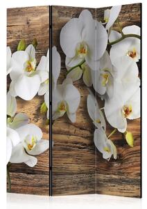 Paraván orchidej na dřevě Velikost (šířka x výška): 225x172 cm