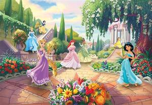Fototapety Disney Princess , rozměr 368 cm x 254 cm, park, Komar 8-4109