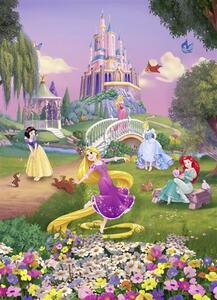 Fototapety Disney Princess , rozměr 184 cm x 254 cm, západ slunce, Komar 4-4026