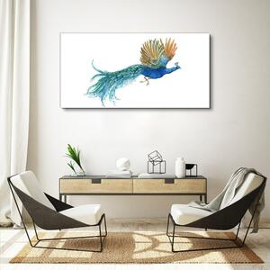 Obraz na plátně Obraz na plátně zvířecí pták páv