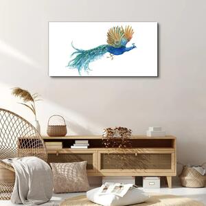 Obraz na plátně Obraz na plátně zvířecí pták páv