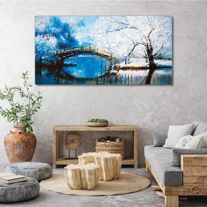Obraz na plátně Obraz na plátně Zimní říční strom most
