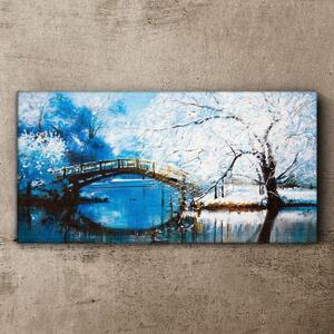 Obraz na plátně Obraz na plátně Zimní říční strom most