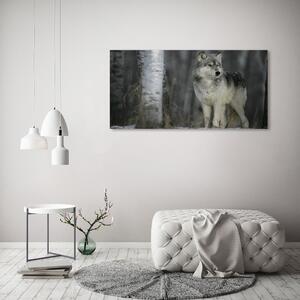 Foto obraz canvas Šedý vlk pl-oc-120x60-f-57875164