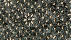 Kusový koberec TUTUMI 140 x 200 cm, protiskluzový / bez vlasu