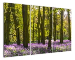 Obraz lesa (120x80cm)