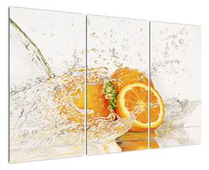 Pomeranče - obraz (120x80cm)
