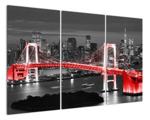 Noční fotka mostu - obraz (120x80cm)