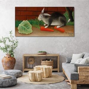 Obraz na plátně Obraz na plátně Mrkev zvířecí králík