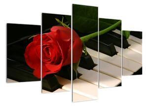 Obraz růže na klavíru (150x105cm)