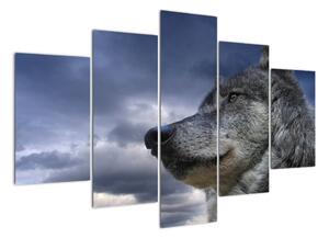 Obraz vlka (150x105cm)