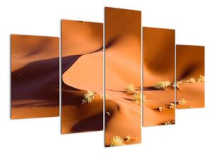 Obraz pouštích dun (150x105cm)