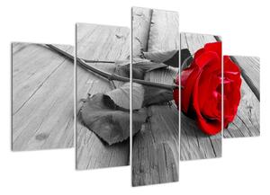 Obraz růže s červeným květem (150x105cm)